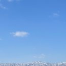 수향다방 이미지