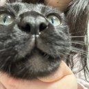 김태주선산곱창지산점 이미지
