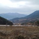 산내면 중황마을 이미지