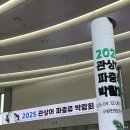 이추네 | 2025년 관상어 파충류 박람회 후기!