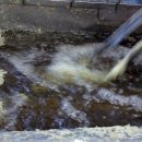 행복 떡볶이 이미지