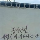 사랑이꽃피는작은도서관 | 🎉 사랑이 꽃피는 경주 황리단길, 로맨틱 한옥 스테이 &#39;다시봄&#39;에서 보낸 특별한 생일 여행! 💖