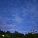 행복양계장 이미지