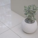 스튜디오콩테