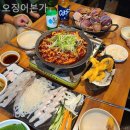 오징어본가 이미지