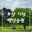 백양어린이집 | 부산 기장 캠크닉 당일치기 캠핑 백양농원 추천