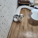 오랭만이죠 또 서울 갔다왔습니다