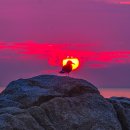 소소한향기 이미지