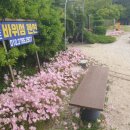 바위섬펜션 이미지