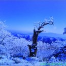 계룡산업덕유산휴게소 이미지