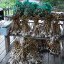 마늘조청 만들기.. 이미지