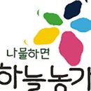 하늘 곤드레 이미지
