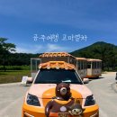공주 고마열차 탑승 솔직후기, 매표 할인방법 추천 비추천