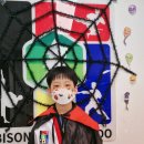 비송태권도 이미지