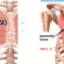 석세스짐 아주대점 이미지