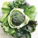 푸른건강녹즙 이미지