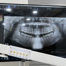 러브미치과의원 이미지