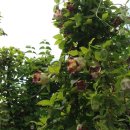 골짜기농장 이미지