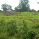 비봉목장 이미지