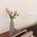 킷사텐(KISSATEN) 이미지