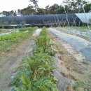 만춘농장 이미지