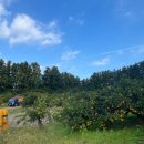 아린농장 이미지