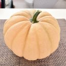 호박이 요리 이뻐요~~ 이미지