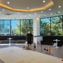 퍼피파라다이스 이미지