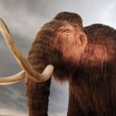 (주)블루칩스 이미지