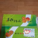 병준농장 | 싸고 맛있는 새콤달콤 조생귤 솔직후기♡