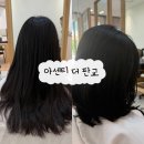 그린그린미용실 | 아센티 더 판교｜중단발 레이어드컷 성공 후기 / 유라 디자이너