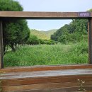 세량지 자판기