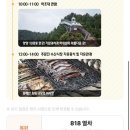 일출로2 | 2026 양양 새해 일출 무박 2일 패키지 후기