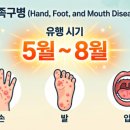 오인어린이집 | 어린이집 수족구 비상! 1~3일 차 초기증상 순서와 등원 중단 기준