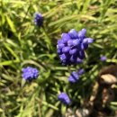 힘센한의원 이미지