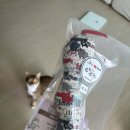 냥이파파 | [고양이 용품 추천] "만화가네똥고양이 고양이 마약 캣닢 꽃뱀 쿠션" 고양이장난감 구매 솔직 후기!