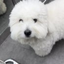 헤어환히