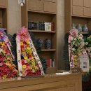 장수네이처 | 아이폰스냅작가의 더베뉴지 서울 1층 네이처홀 촬영 후기 | 원모먼트