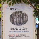 박은자 맛사랑 본점 이미지