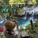 제주 서귀포 돈내코 원앙폭포 가볍게 들를 계곡 놀거리로 딱이야