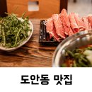 도안동 맛집 칼국수 샤브샤브 돌미나리 얼큰이칼국수