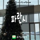 파란꿈 | 대형카페 파란시 | 아기랑 여수여행, 내돈내산 솔직후기