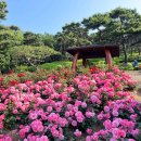 장미원입구 이미지