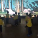 한동초등학교 병설유치원 이미지