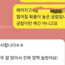 아시아선수촌공원 | 잠실 아시아선수촌 재건축, 시세와 대지지분 분석