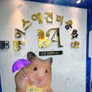 에이스애견미용학원 이미지