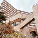 36 | 보령 무창포 숙소 추천 비체팰리스 오션뷰 객실 36평 후기 조식 예약 총정리