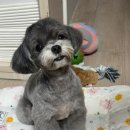 멍무이 쌀롱 이미지