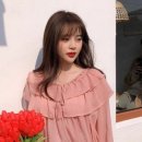 벌룬이즈