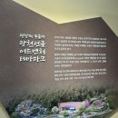 평창 섭동굴 | [강원도 평창 광천선굴] 강원도 평창 가볼만한 곳 &#39;광천선굴 어드벤처 테마파크&#39; 다녀온 후기 (입장료...